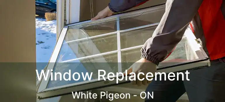  Window Replacement White Pigeon - ON