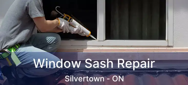  Window Sash Repair Silvertown - ON