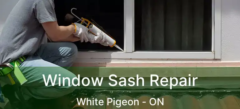  Window Sash Repair White Pigeon - ON