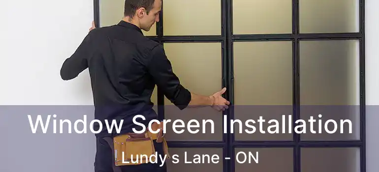  Window Screen Installation Lundy s Lane - ON