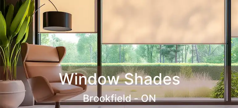  Window Shades Brookfield - ON