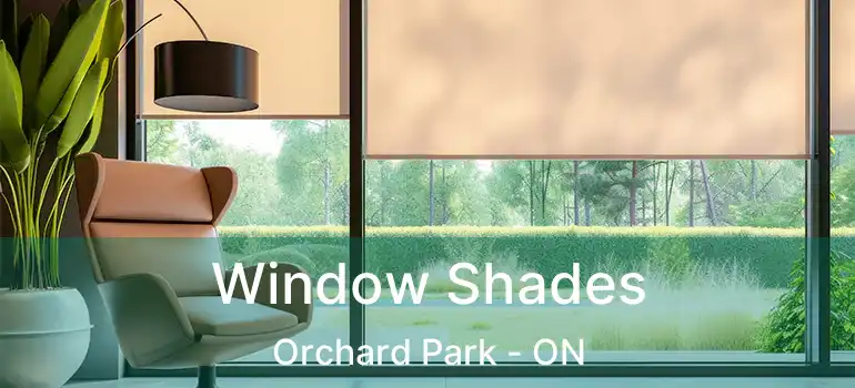  Window Shades Orchard Park - ON