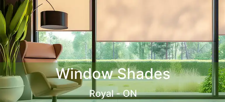  Window Shades Royal - ON