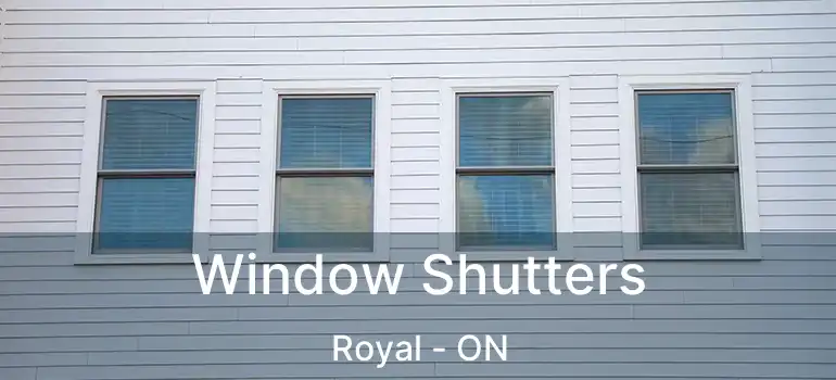  Window Shutters Royal - ON