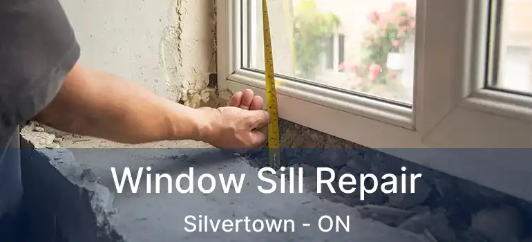  Window Sill Repair Silvertown - ON