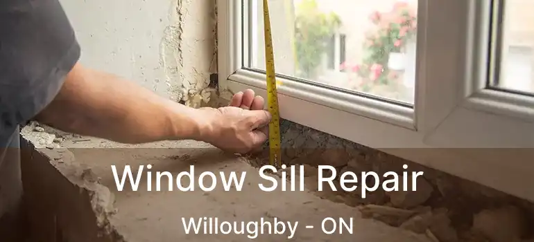  Window Sill Repair Willoughby - ON