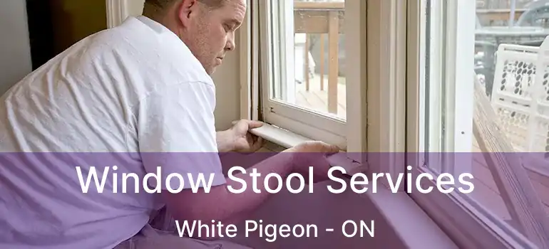  Window Stool Services White Pigeon - ON