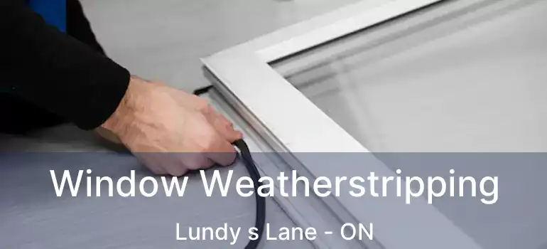  Window Weatherstripping Lundy s Lane - ON