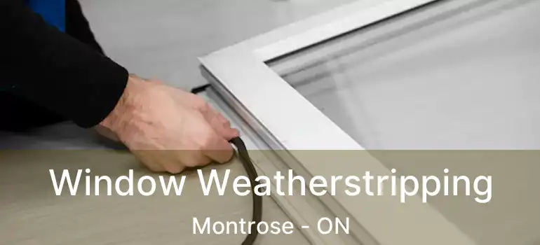  Window Weatherstripping Montrose - ON