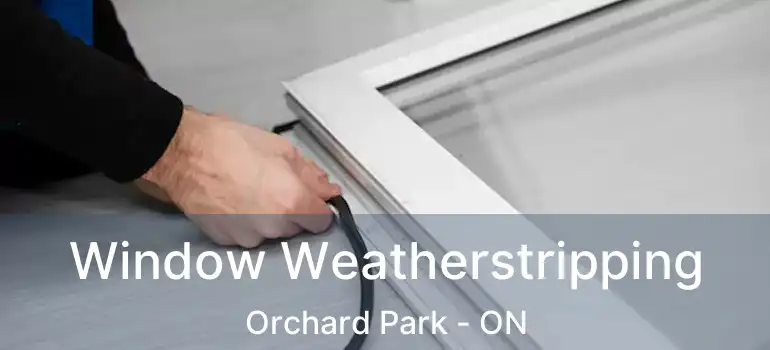  Window Weatherstripping Orchard Park - ON