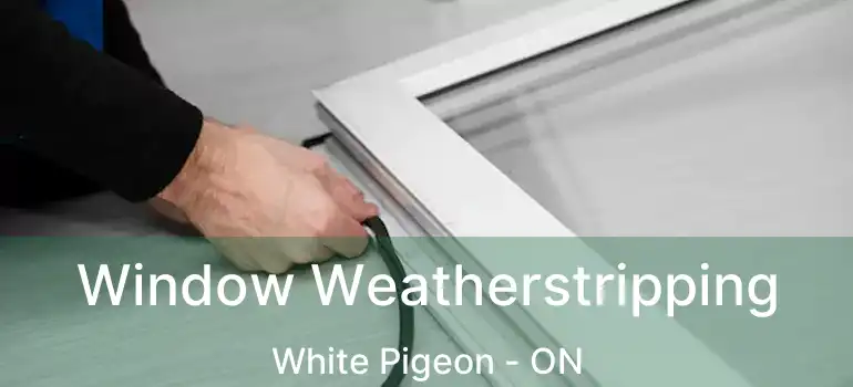  Window Weatherstripping White Pigeon - ON