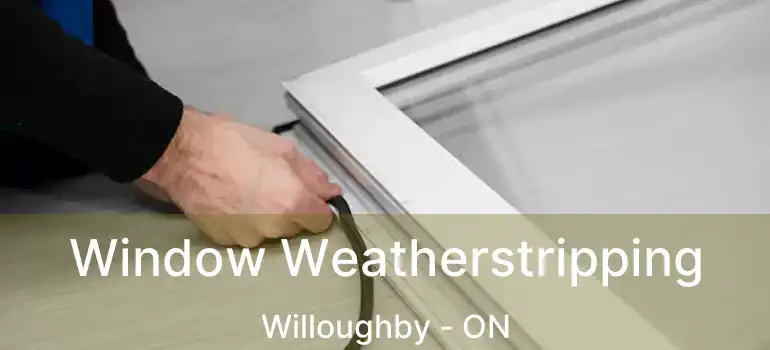  Window Weatherstripping Willoughby - ON