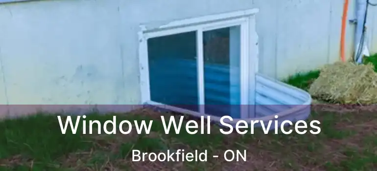  Window Well Services Brookfield - ON