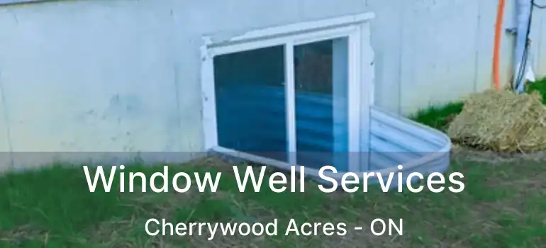  Window Well Services Cherrywood Acres - ON