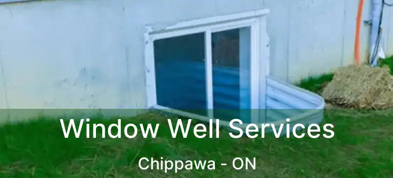  Window Well Services Chippawa - ON