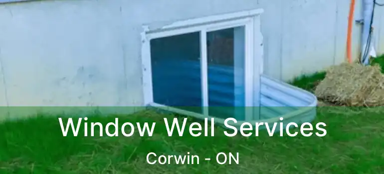  Window Well Services Corwin - ON