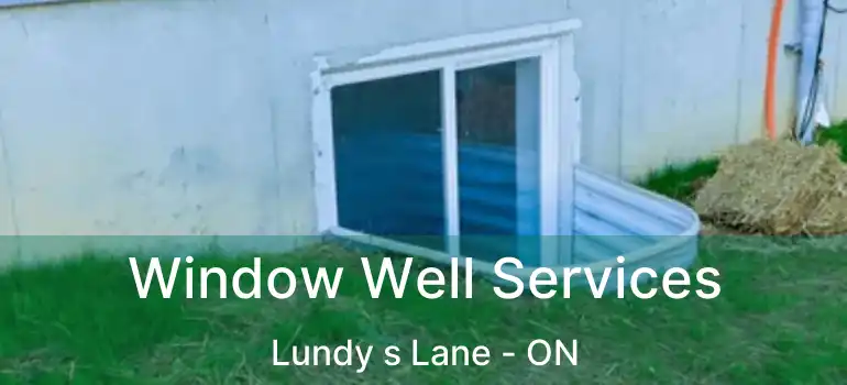  Window Well Services Lundy s Lane - ON