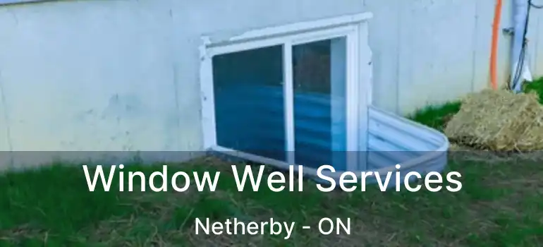  Window Well Services Netherby - ON