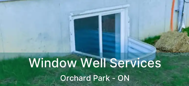  Window Well Services Orchard Park - ON