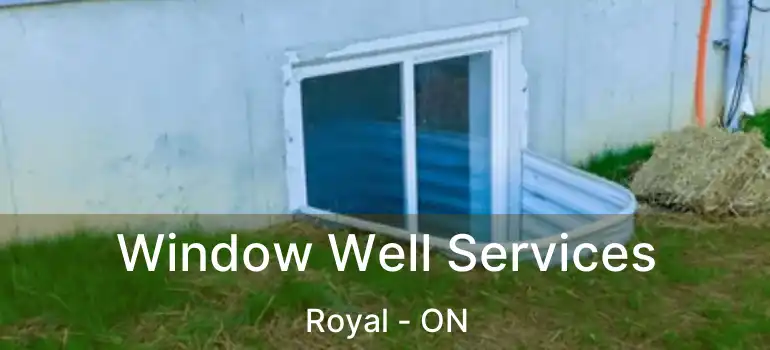  Window Well Services Royal - ON