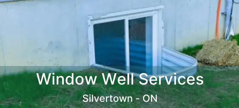  Window Well Services Silvertown - ON