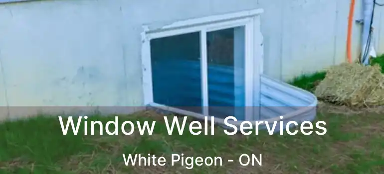  Window Well Services White Pigeon - ON