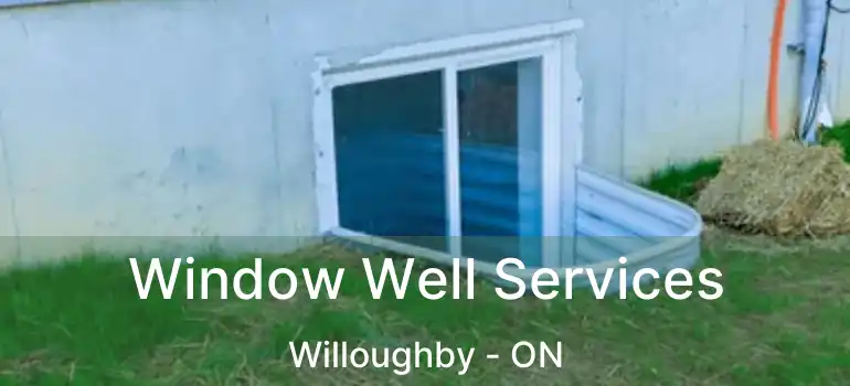  Window Well Services Willoughby - ON