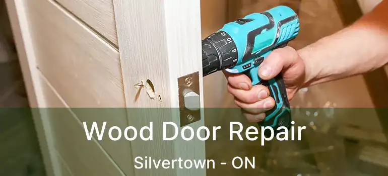  Wood Door Repair Silvertown - ON