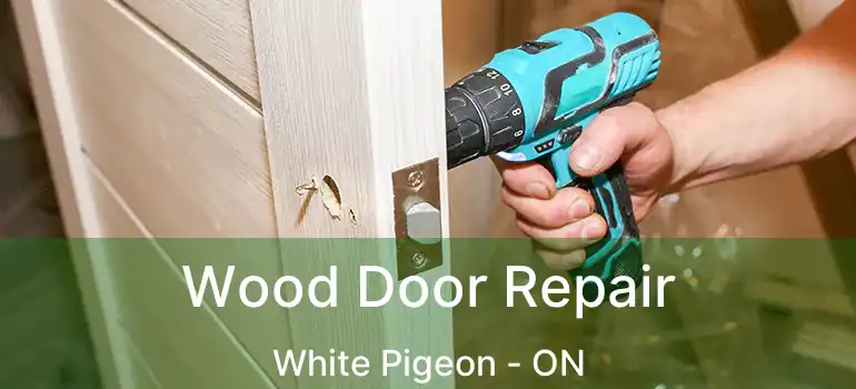  Wood Door Repair White Pigeon - ON